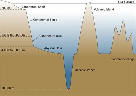parts of the ocean floor definitions